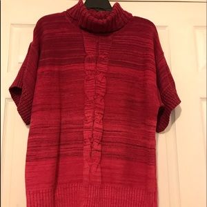 STYLE & CO Beautiful Turtle Neck Sweater 💫